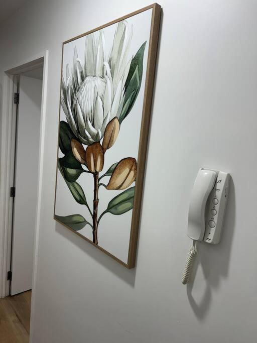 Stunning 3 Bd - 2 Bth City Apt - Pool & Carpark Auckland Exteriér fotografie