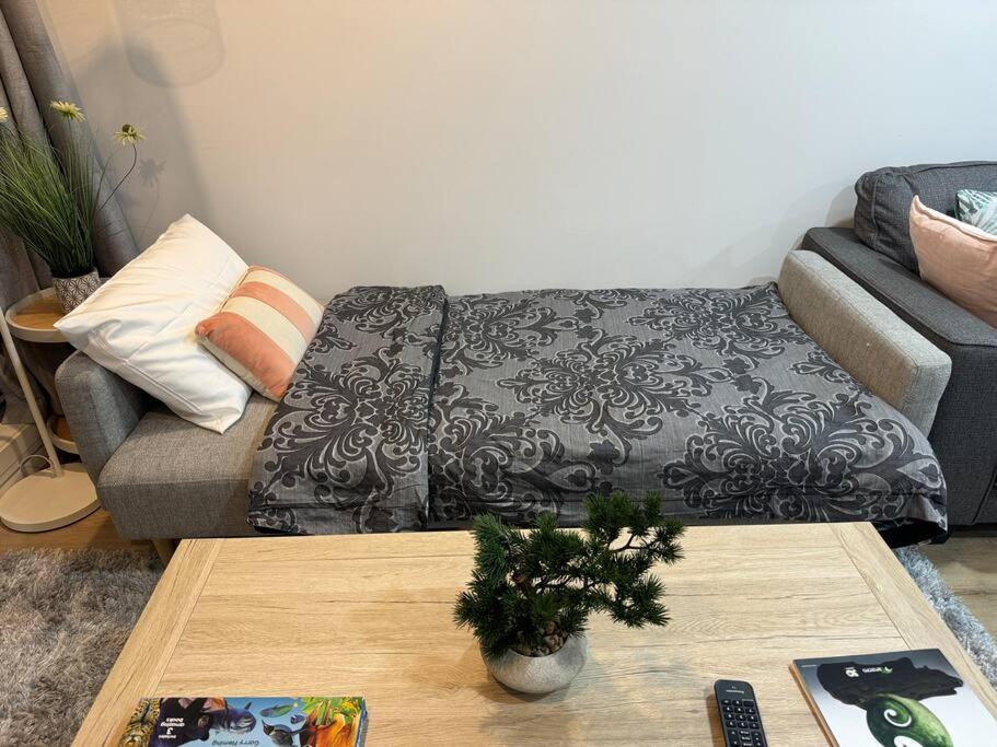 Stunning 3 Bd - 2 Bth City Apt - Pool & Carpark Auckland Exteriér fotografie